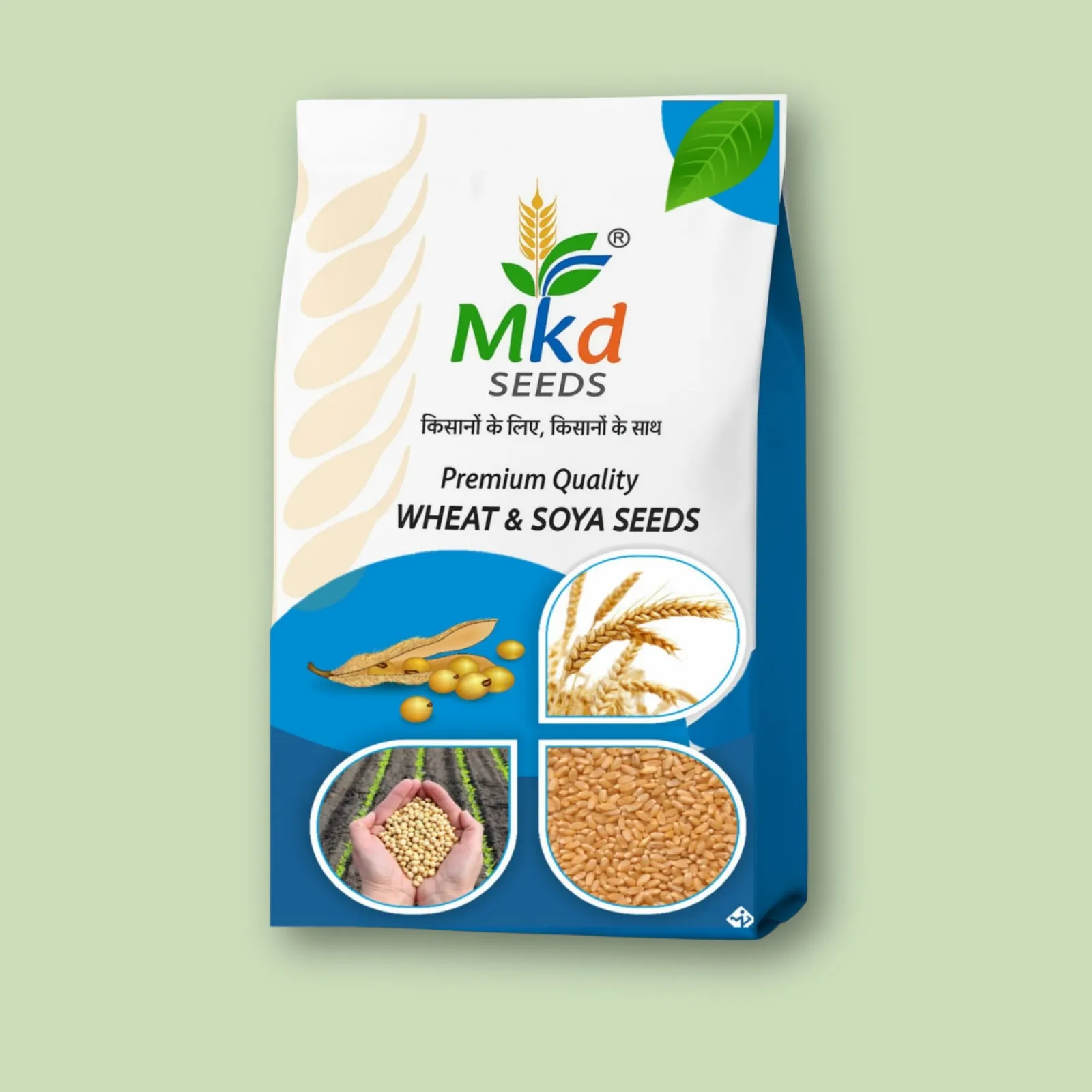 Raj 4037 Wheat Seeds